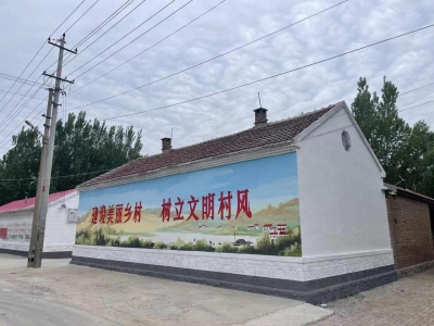 禹城市市中街道 | 因地制宜  乡村振兴驶入“快车道”