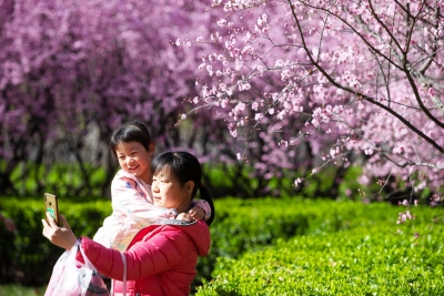 今周末｜高迎春：春夜听雨（外三篇•首）