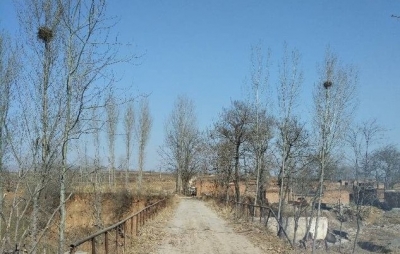 散文 | 高明星：井水悠悠唤乡愁