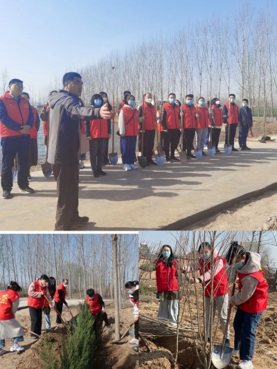 每人三棵树，单位一片林 | 德州市审计局开展春季义务植树活动 