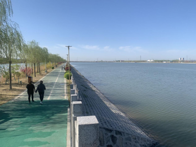 美丽“鬲津”升级效益河湖