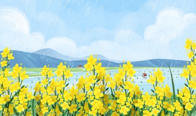 诗｜韩淑霞：原谅我（外二首）