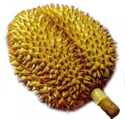 组诗 | 满春重：百果吟（四）