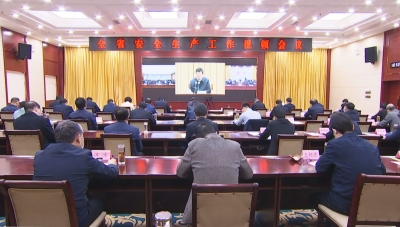 德州组织收看全省安全生产工作视频会议 田卫东讲贯彻落实意见 苑衍刚出席