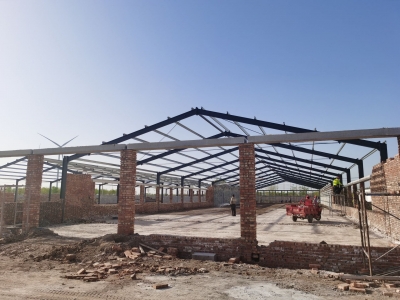 庆云县崔口镇：村企共建谋共富，合作聚力谱新篇