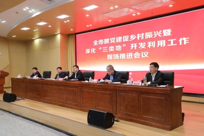 德州市抓党建促乡村振兴暨“三类地”开发利用工作现场推进会议召开 田卫东会前作出批示