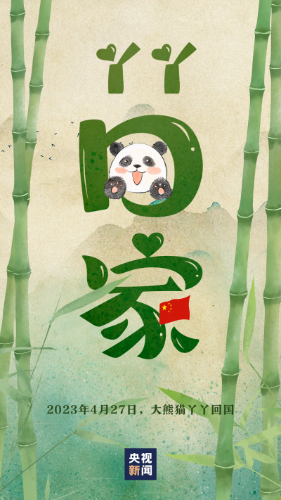 运送大熊猫“丫丫”的货运专机已降落上海浦东机场