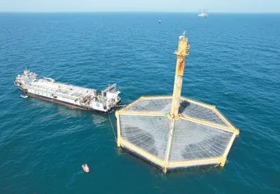 人民日报聚焦青岛西海岸新区：三文鱼在黄海安了家！