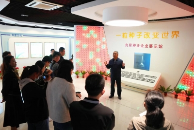 宁津良星种业｜育良种 助粮丰民富