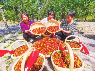 组诗 | 满春重：百果吟（二）