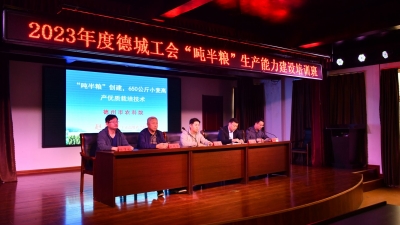 德州市德城区总工会：农技培训护航“吨半粮”建设