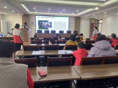 全环境立德树人丨警惕网络危害 加强未成年人网络保护！天衢新区开展青少年“网络立德树人”宣讲活动