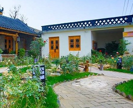 散文｜王书生：栽树苗