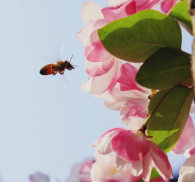 散文｜谢学军：忆王金铎老师