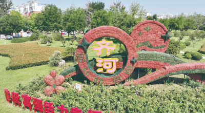 齐河全力提升城市品质：117个“口袋公园”让幸福升级