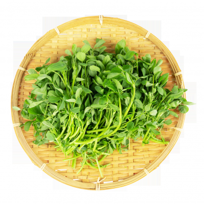 德州文史 | 李宽云：那时苜蓿