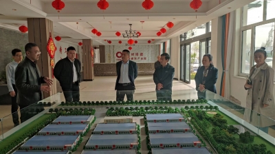 陵城区于集乡开展“优化营商环境，助推企业发展”政协委员协商活动