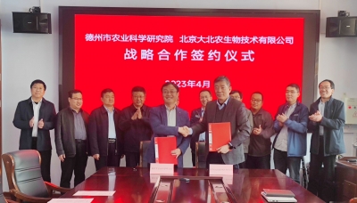 打造“中国生物育种应用示范基地” |  德州市农科院与大北农集团签订全面战略合作协议