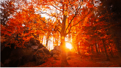 咏山（九） |  德州籍著名诗人李葆国诗词选