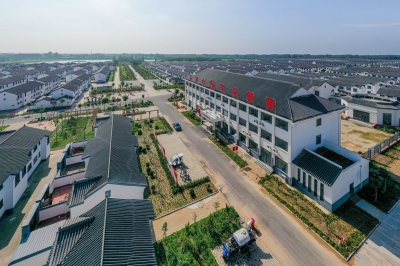 党建引领共治  乡村焕发活力 | 德州市在打造乡村振兴齐鲁样板上强力突破系列报道