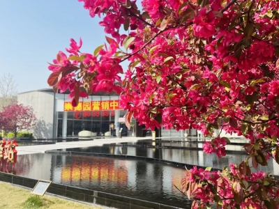 崇德园：盎然美景 敬献春天