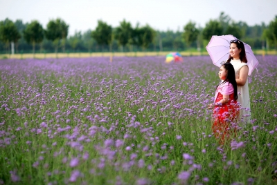 烧烤美食、音乐烟火、亲子游玩…… | 庆云县首届星空露营节即将启幕