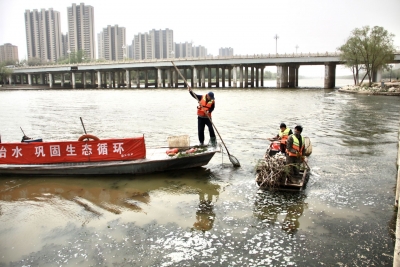 德州锦绣川景区管理办公室开展水域生态治理工作