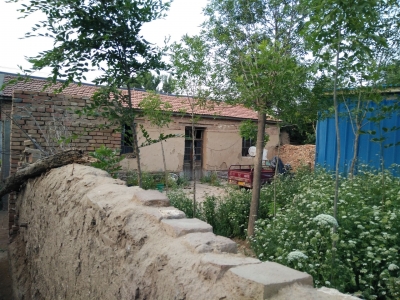 散文｜吕洪昌：老家和自留地的记忆