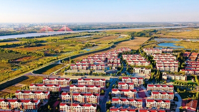 瞭望 | 一首新“黄河谣”，在山东黄河滩区响起