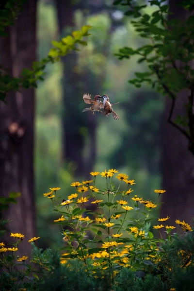 德报说节气 | 今日小满：