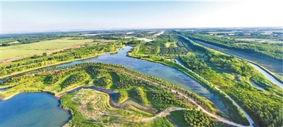 《人民日报》头版头条点赞齐河：积极推进黄河生态廊道建设，持续改善生态环境