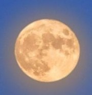 散文 | 杨志强：我有所念人