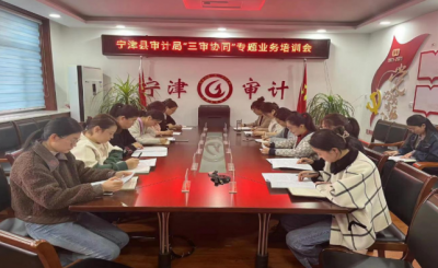 宁津县审计局组织召开“三审协同”专题业务培训会