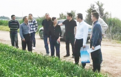 山东省“四进”工作组到德城区运河街道开展小麦“一喷三防”和保障夏粮生产情况专项督导工作