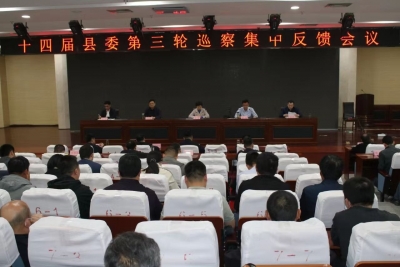 临邑：以巡促改 为高质量发展“清淤除障”