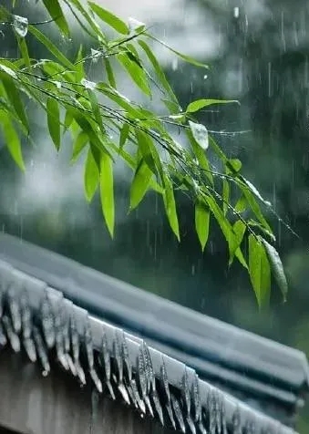 袁丁 | 追念书画大师孙其峰先生：教诲如春风 师恩似海深  