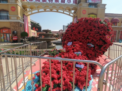 “爱在德州”相亲平台首届见面会来了！5月20日铜锣湾奥特莱斯小镇，等你！