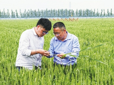 齐河 | 打造齐鲁样板 绘就富民画卷