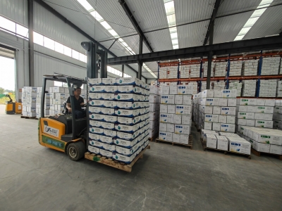 村民喜提分红款，齐河狮子刘村把“沉睡”资产变成了增收“活水”