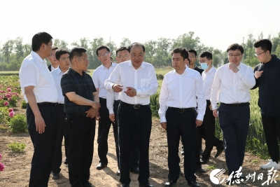 德州市委书记田卫东到齐河县调研基层党建引领基层治理工作