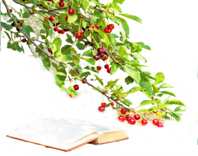 散文 | 莫问天心：一条开满鲜花的路