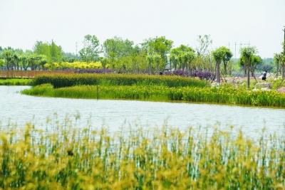 散文｜马玉凤：夏天的回忆