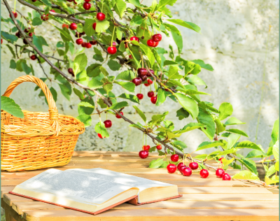 散文｜张居明：初夏