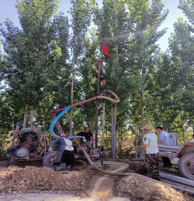 陵城区边临镇：清渠保农耕 护航“三夏”生产