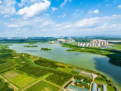 聚焦黄河流域生态保护和高质量发展|齐河：河湖展新颜 润泽幸福城