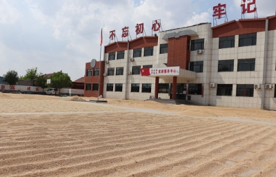 党委政府喊你来晒麦！庆云县340处镇村政府驻地变身晾晒场，日晒小麦6.2万斤