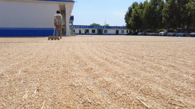 乐陵一派出所大院因民需而变｜可当停车场  可当晾晒场