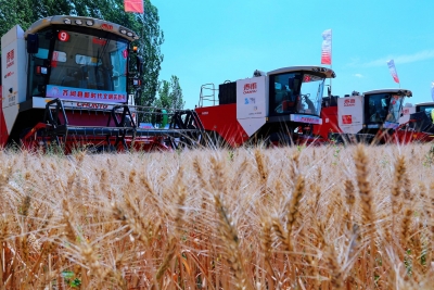 “志愿红”闪耀田间地头，齐河县“新时代文明实践号”收割机护航夏粮丰收