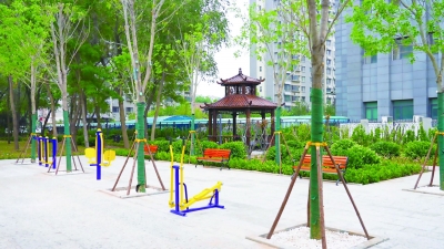 散文｜胡瑞祥： 我家门前的老槐树               