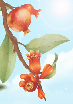 习作｜郑智恩：我的妈妈